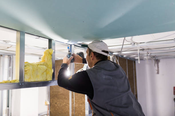 Best DIY Insulation Kits and Guidance in Boronda, CA
