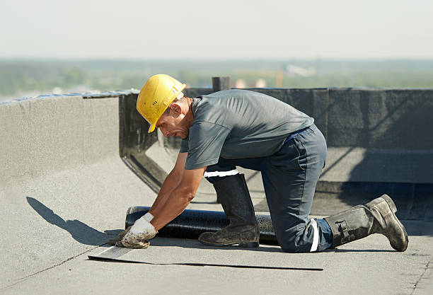 Best Commercial Insulation in Boronda, CA