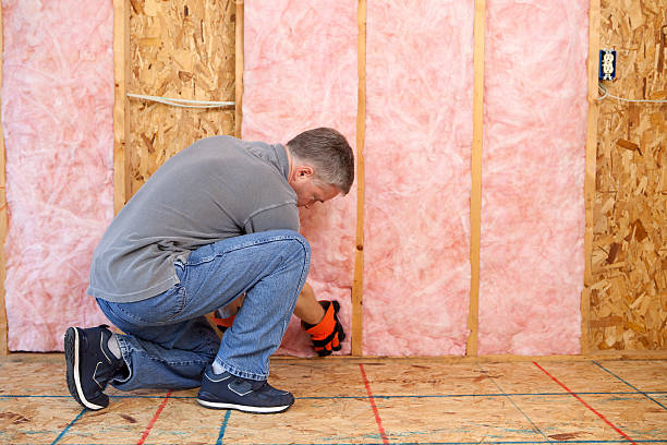Types of Insulation We Offer in Boronda, CA